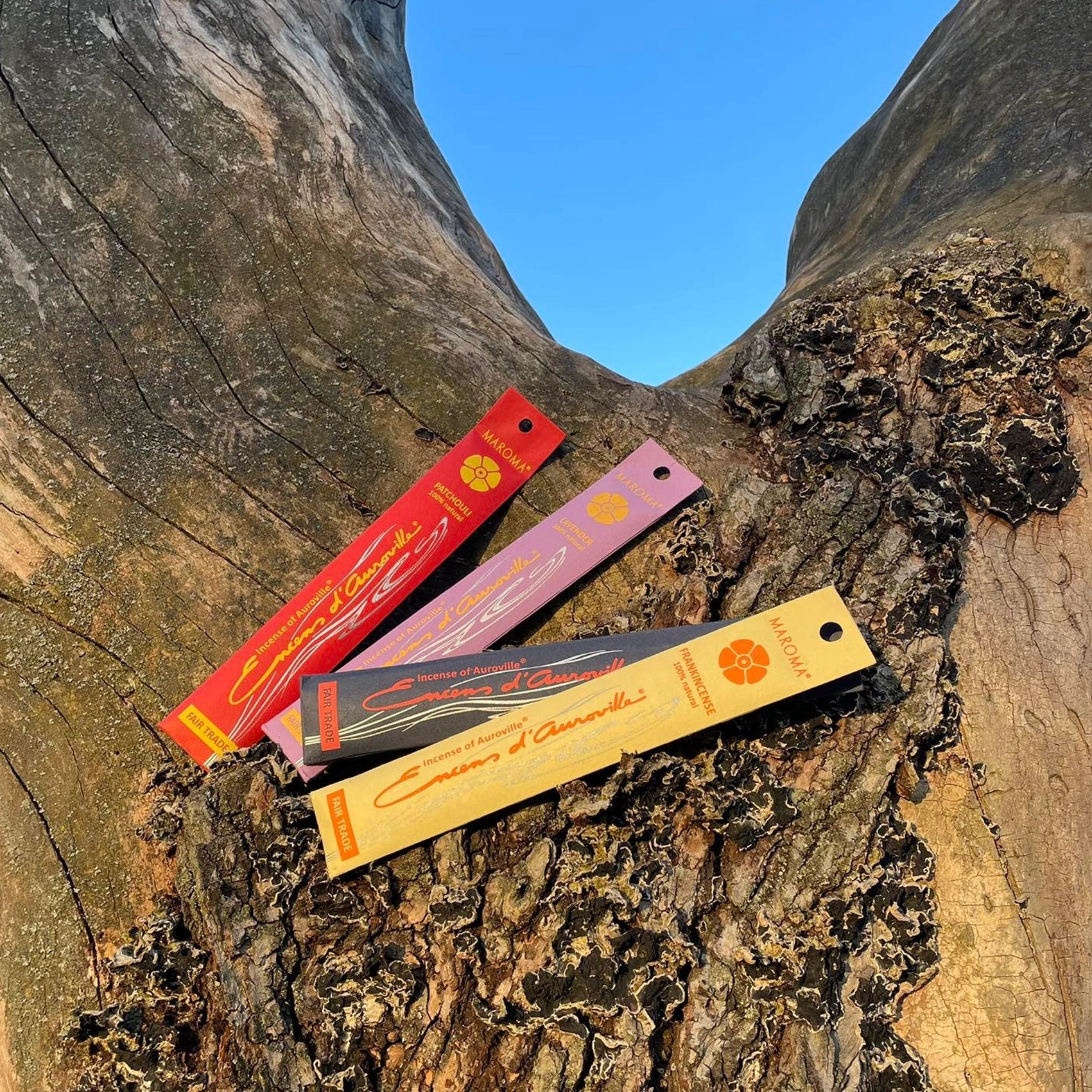 Encens d'Auroville - Stick - Salvia Bianca (Wild Sage)

1 recensione