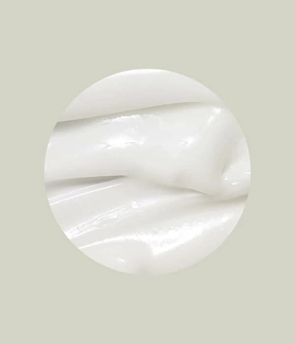 BEAUTY OF JOSEON – Dynasty Cream 50ml