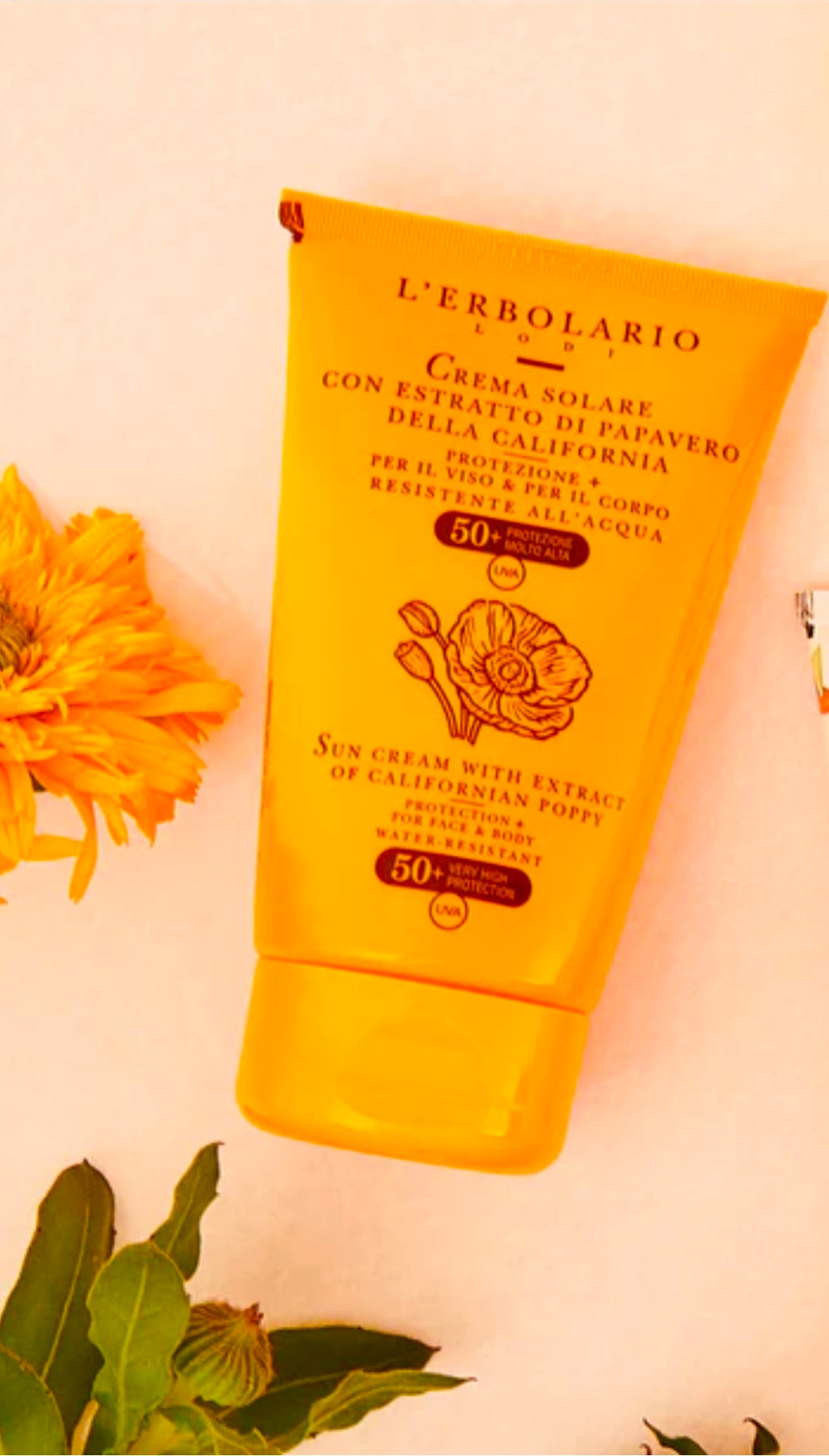 Crema Solare Viso e Corpo SPF 50+