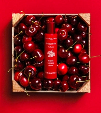 Profumo Amarena 50ml